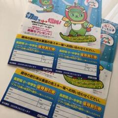 長野県 スキー場 割引券