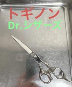 最終値下‼️トギノンDr.シザーズ研ぎ済み美品メンテナンスこまめ
