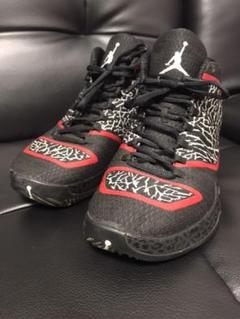 NIKE AIR JORDAN 29 size27cm