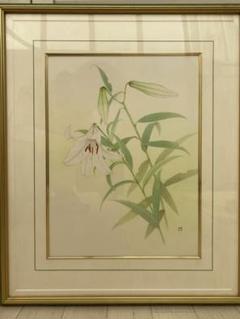 山本 敏雄　ささゆり　水彩画　肉筆　絵画　日本画　インテリア 山本 敏雄ささゆり水彩画肉筆絵画日本画インテリア
