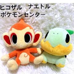 ポケモン ヒコザル ナエトル　ポケモンセンター　ぬいぐるみ 約20cm かわいい