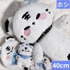 ホシ ぬいぐるみ セブチ seventeen 40センチ マスター 40cm