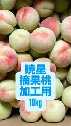 暁星摘果桃 10kg 摘果桃 暁星 桃 加工用 10kg 摘果桃 - メルカリ
