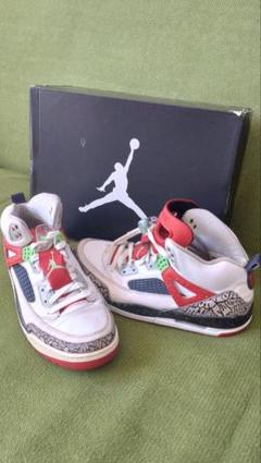 JORDAN　スパイク・リー　スニーカー　スパイジーク　29センチ