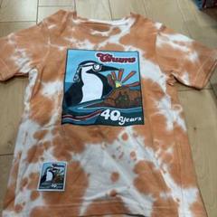 Chums 40周年記念 Tシャツ 115-130キッズ