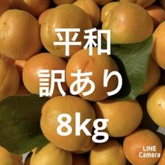 ★終了間近　訳あり　平和　ハネダシ　8kg 信州産 あんず　杏　生あんず ☆終了間近 訳あり 平和 ハネダシ 8kg 信州産 あんず 杏 生