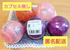 ワンピの実5個まとめ売り(カラス、キャロット、ジンベエ、コアラ、バルトロメオ)