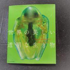 世界の美しい透明な生き物