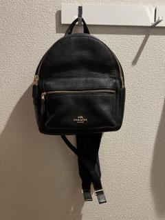 2022年最新】coach ミニリュックの検索結果 - メルカリ