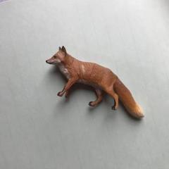キタキツネ　きつね　狐　　キツネ