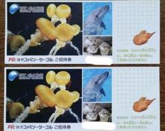 新江ノ島水族館 招待券チケット2枚セット