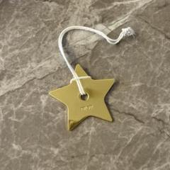 Dior ゴールド ダブルチェーネックレス 星形チャーム 国内発送 Dior PETIT CD ダブル ネックレス ゴールド 星型 (Dior