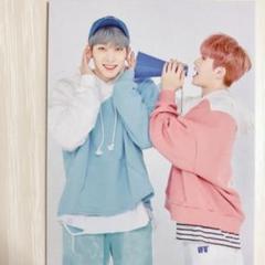 SEVENTEEN ウォヌ、ウジ　CARAT LANDトレカ