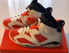 NIKE エアジョーダン6 ゲータレード AJ6