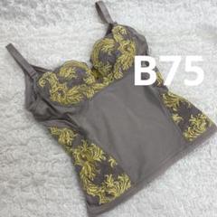 2025年最新】マルコ ロングブラジャー b75の人気アイテム - メルカリ