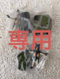 【専用】ゼットン/ウルトラ怪獣名鑑2 シークレット：科特隊本部/ノーマル セット 専用】ゼットン/ウルトラ怪獣名鑑2 シークレット：科特隊本部