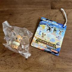 ポケモンゲットコレクションズ　66体まとめ売り 2025年最新】ポケモンゲットコレクションズの人気アイテム