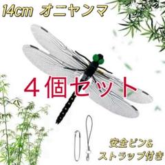 トビの翼標本 2025年最新】翼 標本の人気アイテム - メルカリ