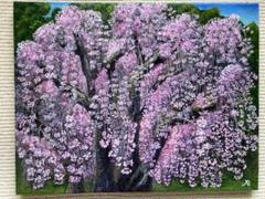 花の絵 風景画 アクリル画 原画「満開の枝垂れ桜」F6 花の絵 風景画 アクリル画 原画「満開の枝垂れ桜」F6 - メルカリ