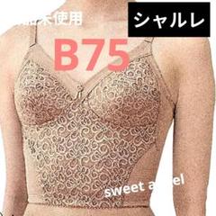 2025年最新】シャルレ ブラジャーb75の人気アイテム - メルカリ