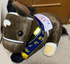 2025年最新】競馬 ぬいぐるみ 2Lの人気アイテム - メルカリ