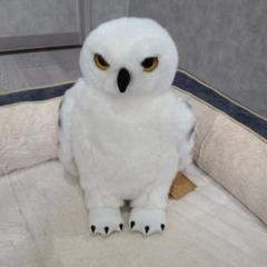 ヘドウィグ　ハリーポッター　タグ付きぬいぐるみ