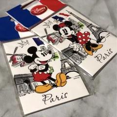 ディズニー　マグネット　ミッキー　ミニー ディズニーストア UK 未開封　希少