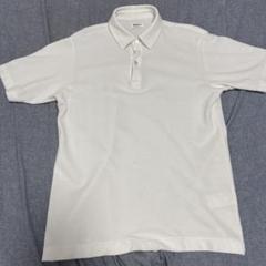 BEAMS F 半袖カノコポロシャツ/ブラウン/サイズ46/ビームス/イタリア製 BEAMS F（ビームスF）【別注】DRUMOHR / カノコ ポロシャツ