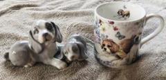 犬　ビーグル　陶器　置物　マグカップ　セット　まとめ売り