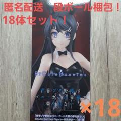青春ブタ野郎 BicuteBunnies 桜島麻衣 18体セット！ - メルカリ