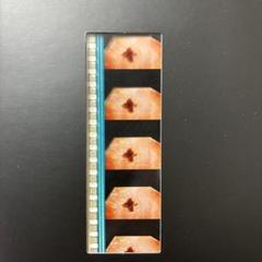 エヴァンゲリオン　序　破　に付いていた限定フィルム2枚です。マリ、ミサト、リツコ エヴァンゲリオン 序 破 に付いていた限定フィルム2枚です。マリ