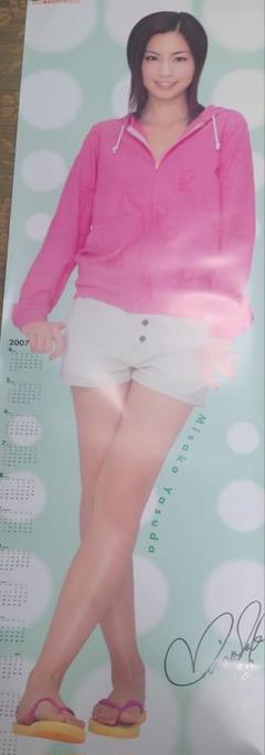 2025年最新】等身大 安田美沙子 ポスターの人気アイテム - メルカリ