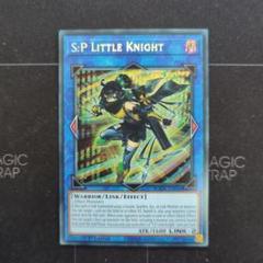 EU版 S:P リトルナイト LITTLE KNIGHT シークレット AGOVのサムネイル