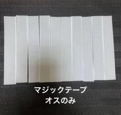 ① マジックテープ　オスのみ