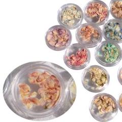 ドライフラワー ネイルパーツ 押し花 レジン用 花 デコパーツ