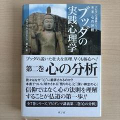 ブッダの実践心理学 第6巻 縁起の分析 ブッダの実践心理学―アビダンマ講義シリーズ〈第6巻〉縁起の分析