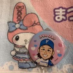 細野晴希 ファイターズガチャ かわいいシリーズ 缶バッジ