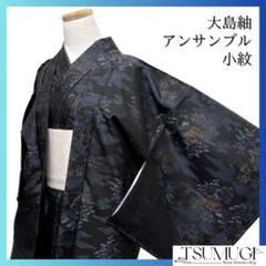 未着用　小紋　大島紬　アンサンブル　風景模様 着物　072a d