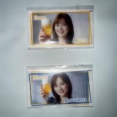乃木坂46 生田絵梨花/山下美月 おとな選抜 ミニマルチケース 乃木坂46 生田絵梨花/山下美月 おとな選抜 ミニマルチケース