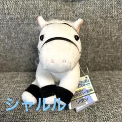 ソダシ アイドルホースセット 非売品有 ソダシ アイドルホース パドック - メルカリ