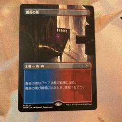 MTG 諜報ランド まとめ売り 2025年最新】諜報ランドの人気アイテム - メルカリ