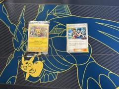 ポケモンカード引退品