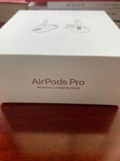 Apple AirPods Pro ダストガード付
