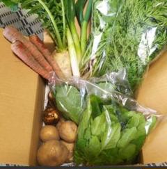 旬の新鮮野菜セット 60size 無農薬・無化学肥料栽培