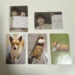 ベッキョン　トレギ　TEOLAEGI パジャマ　Lサイズ トレギ＆パジャマ 未開封 EXO ベッキョン teolaegi baekhyun