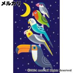 原画「小鳥ブレーメン　宝石の夜」イラスト/アート/絵画/インコ/文鳥/オオハシ