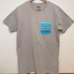 patagonia パタゴニア tシャツ