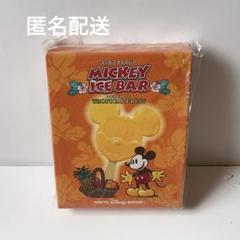 ディズニー　ミッキーアイスバー　トロピカルスーベニアプレート　スプーン　オレンジ