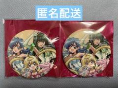 ぴちぴちピッチ　集合　缶バッジ　るちあ　波音　リナ