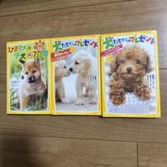 犬にまつわる感動のお話　3冊セット　集英社みらい文庫　児童書